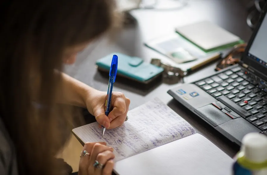 Green Fox Academy student